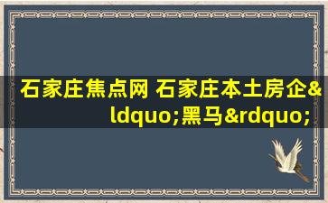 石家庄焦点网 石家庄本土房企“黑马”涉黑了,大家知道吗